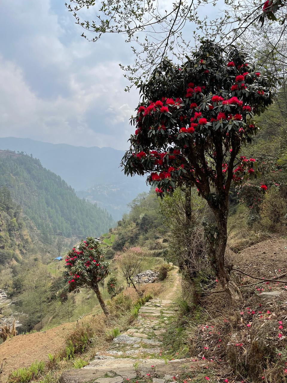 MANI RIMDU FESTIVAL TREKKING | PANGBOCHE