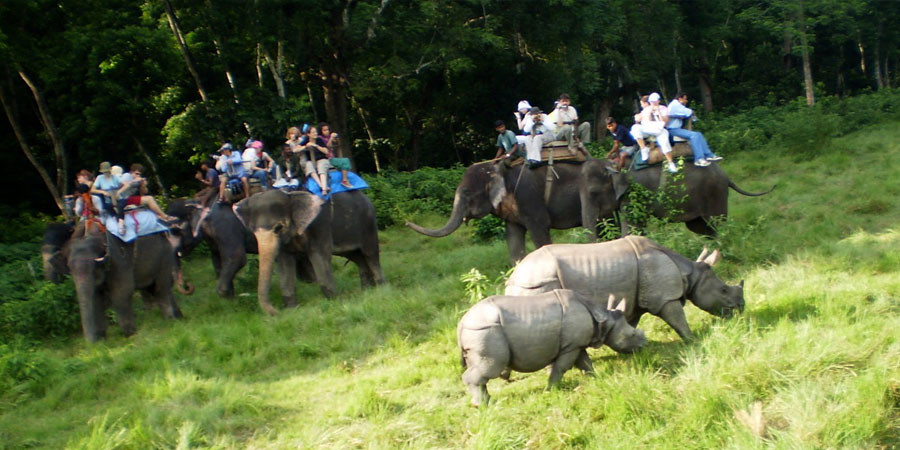 Jungle Safaris In Nepal